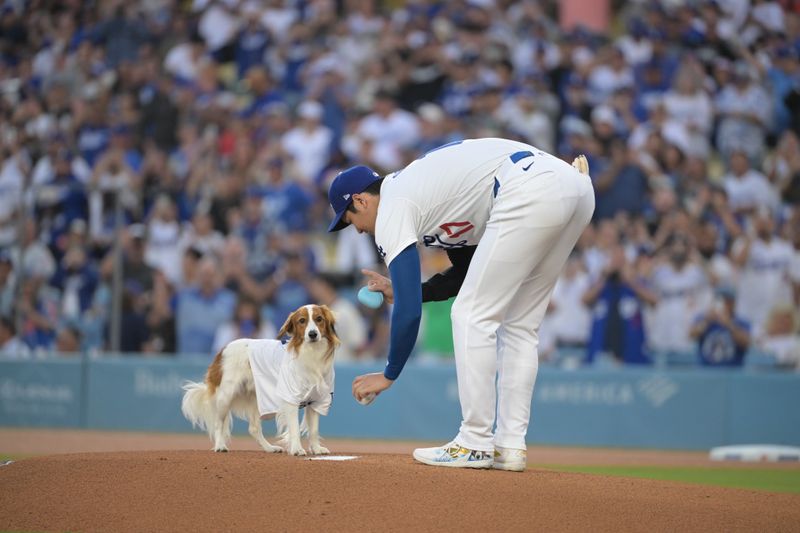 Aug 28, 2024; Los Angeles, California, USA;  Decoy, the dog of Los Angeles Dodgers designated hitter Shohei Ohtani (17) waits for instruction before delivering the first pitch before the game against the Baltimore Orioles at Dodger Stadium. Mandatory Credit: Jayne Kamin-Oncea-USA TODAY Sports