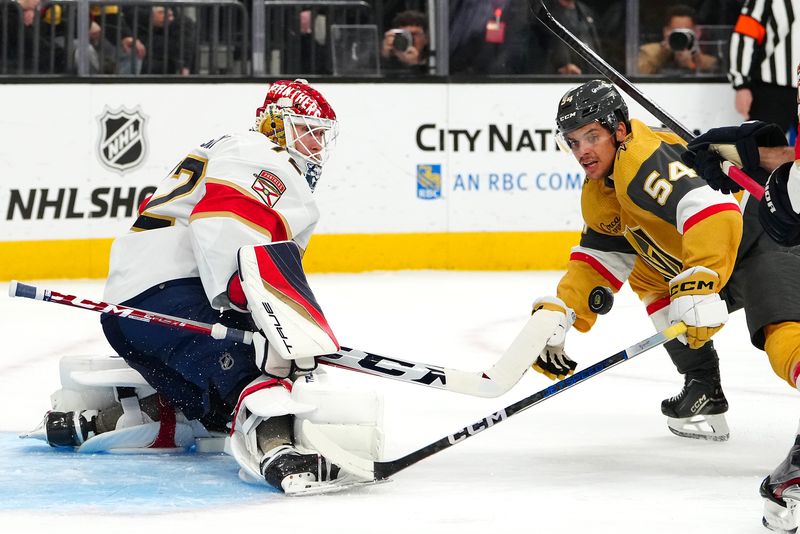 Jan 4, 2024; Las Vegas, Nevada, USA; Florida Panthers goaltender Sergei Bobrovsky (72) makes a save as Vegas Golden Knights left wing Grigori Denisenko (54) looks for a rebound during the second period at T-Mobile Arena. Mandatory Credit: Stephen R. Sylvanie-USA TODAY Sports