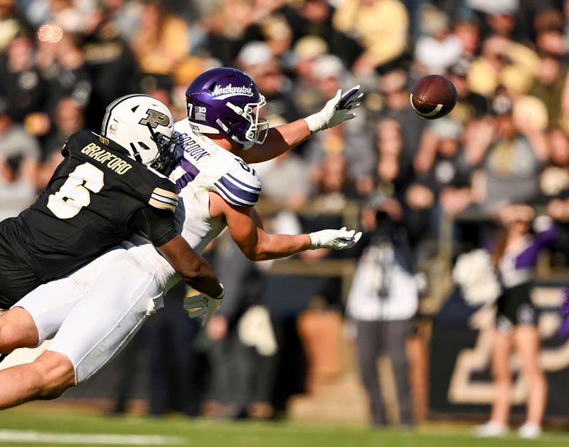 Nov 2, 2024; West Lafayette, Indiana, USA; Northwestern Wildcats tight end Thomas Gordon (87) dives for a ball under coverage from Purdue Boilermakers defensive back Smiley Bradford (6) during the second half at Ross-Ade Stadium. Mandatory Credit: Marc Lebryk-Imagn Images