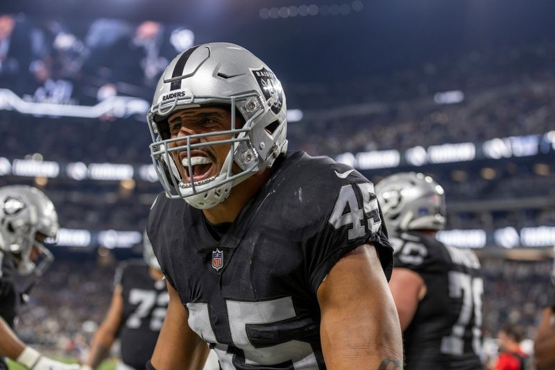 Las Vegas Raiders fullback Jakob Johnson (45) celebrates after teammate Davante Adams scores a touchdown against the Los Angeles Chargers in an NFL football game, Thursday, Dec. 14, 2023, in Las Vegas, NV. Raiders defeat the Chargers 63-21. (AP Photo/Jeff Lewis)