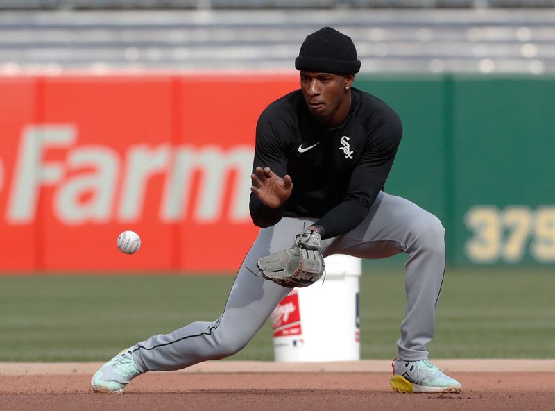 Apr 8, 2023; Pittsburgh, Pennsylvania, USA;  Chicago White Sox shortstop Tim Anderson (7) takes ground balls  before the game against the Pittsburgh Pirates at PNC Park. Mandatory Credit: Charles LeClaire-USA TODAY Sports