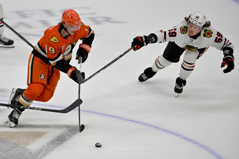 Nov 3, 2024; Anaheim, California, USA;  Chicago Blackhawks left wing Tyler Bertuzzi (59) defends Anaheim Ducks right wing Troy Terry (19) in the third period at Honda Center. Mandatory Credit: Jayne Kamin-Oncea-Imagn Images