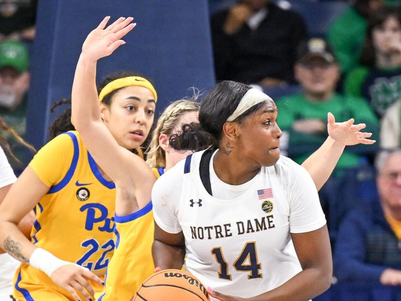 Feb 9, 2023; South Bend, Indiana, USA; Notre Dame Fighting Irish guard KK Bransford (14) looks to pass in the first half against the Pittsburgh Panthers at the Purcell Pavilion. Mandatory Credit: Matt Cashore-USA TODAY Sports