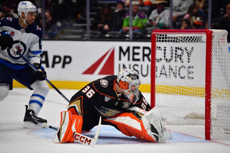 Jan 5, 2024; Anaheim, California, USA; Anaheim Ducks goaltender John Gibson (36) allows a goal scored by Winnipeg Jets center Cole Perfetti (91) during the third period at Honda Center. Mandatory Credit: Gary A. Vasquez-USA TODAY Sports