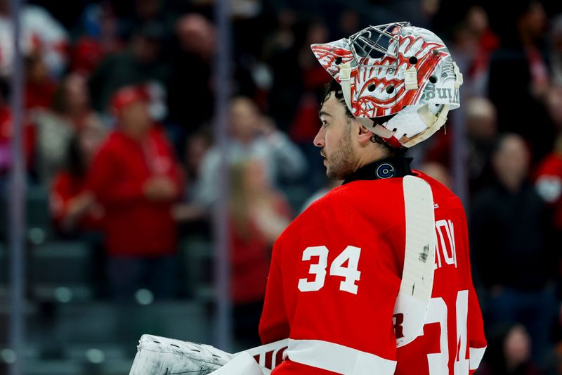 Apr 7, 2024; Detroit, Michigan, USA; Detroit Red Wings goaltender Alex Lyon (34) looks on in the first period against the Buffalo Sabres at Little Caesars Arena. Mandatory Credit: Rick Osentoski-USA TODAY Sports