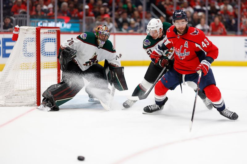 Mar 3, 2024; Washington, District of Columbia, USA; Washington Capitals right wing Tom Wilson (43) and Arizona Coyotes defenseman Troy Stecher (51) battles for the puck in front of Coyotes goaltender Karel Vejmelka (70) in the third period at Capital One Arena. Mandatory Credit: Geoff Burke-USA TODAY Sports