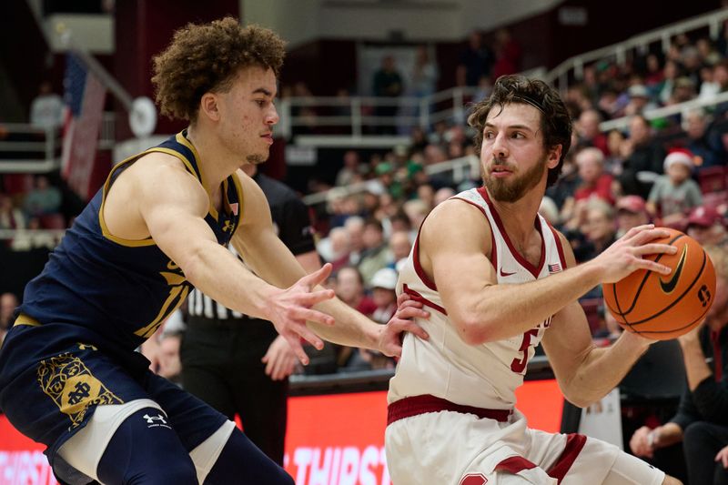 Dec 30, 2025; Stanford, California, USA; Stanford Cardinal guard Benny Gealer (5) looks to pass the ball against Notre Dame Fighting Irish guard Braeden Shrewsberry (11) during the second half at Maples Pavilion. Mandatory Credit: Robert Edwards-Imagn Images