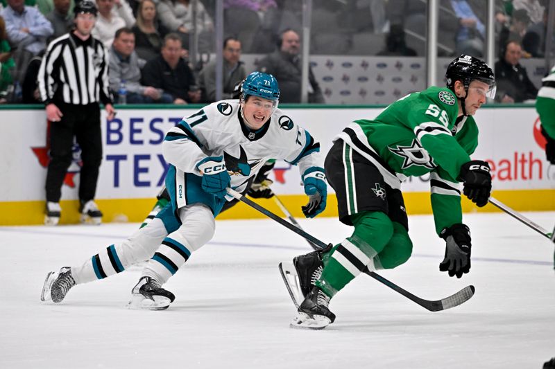 Nov 20, 2024; Dallas, Texas, USA; San Jose Sharks center Macklin Celebrini (71) and Dallas Stars defenseman Thomas Harley (55) chase the puck during the first period at the American Airlines Center. Mandatory Credit: Jerome Miron-Imagn Images