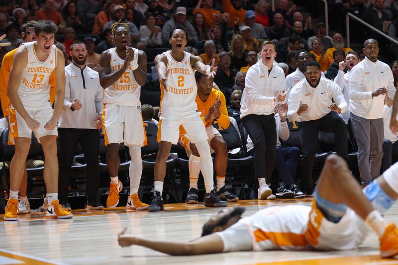 Dec 5, 2023; Knoxville, Tennessee, USA; The Tennessee Volunteers bench reacts after forward Jonas Aidoo (0) was fouled by the George Mason Patriots during the second half at Thompson-Boling Arena at Food City Center. Mandatory Credit: Randy Sartin-USA TODAY Sports