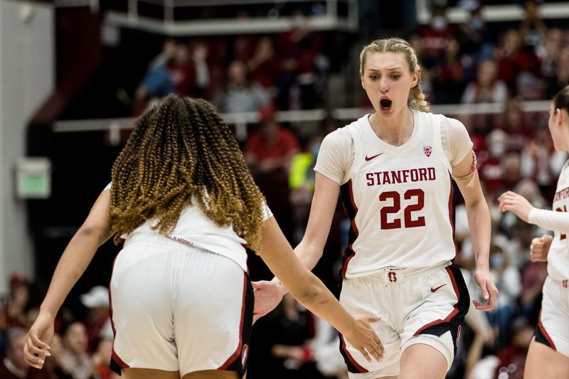 Wildcats Claw Past Cardinal in Fierce Showdown at Maples Pavilion