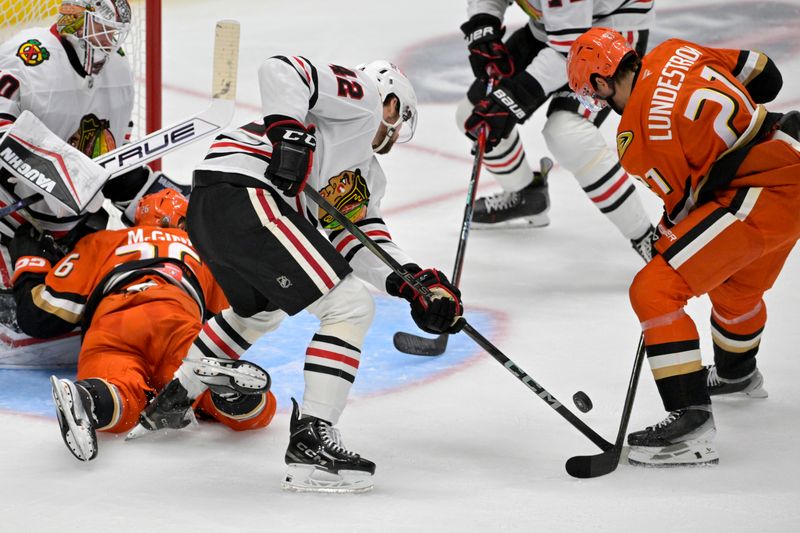 Nov 3, 2024; Anaheim, California, USA;  Chicago Blackhawks defenseman Nolan Allan (42) and Anaheim Ducks center Isac Lundestrom (21) go for the puck in the second period at Honda Center. Mandatory Credit: Jayne Kamin-Oncea-Imagn Images