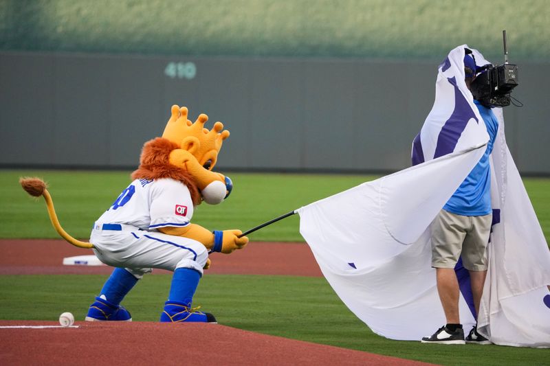 Aug 20, 2024; Kansas City, Missouri, USA; The Kansas City Royals mascot Sluggerrr drapes a large KC flag over a cameraman at the mound prior to the game against the Los Angeles Angels at Kauffman Stadium. Mandatory Credit: Denny Medley-USA TODAY Sports