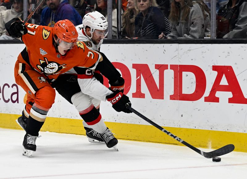 Dec 1, 2024; Anaheim, California, USA; Ottawa Senators right wing Michael Amadio (22) controls the puck with pressure fromAnaheim Ducks defenseman Olen Zellweger (51) during the first period at Honda Center. Mandatory Credit: Alex Gallardo-Imagn Images