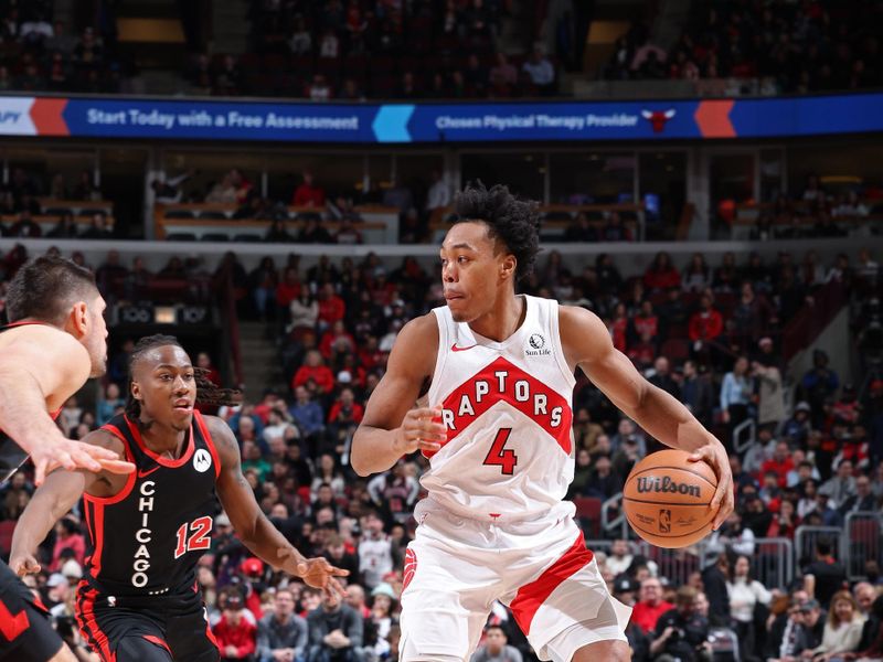 CHICAGO, IL - JANUARY 30: Scottie Barnes #4 of the Toronto Raptors dribbles the ball during the game against the Chicago Bulls on January 30, 2024 at United Center in Chicago, Illinois. NOTE TO USER: User expressly acknowledges and agrees that, by downloading and or using this photograph, User is consenting to the terms and conditions of the Getty Images License Agreement. Mandatory Copyright Notice: Copyright 2024 NBAE (Photo by Jeff Haynes/NBAE via Getty Images)