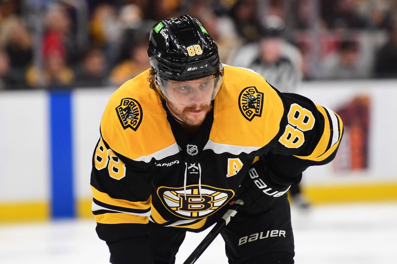Nov 21, 2024; Boston, Massachusetts, USA;  Boston Bruins right wing David Pastrnak (88) gets set for a face-off during the third period against the Utah Hockey Club at TD Garden. Mandatory Credit: Bob DeChiara-Imagn Images