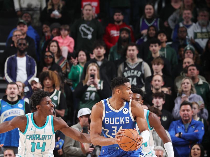 MILWAUKEE, WI - NOVEMBER 23: Giannis Antetokounmpo #34 of the Milwaukee Bucks looks to pass the ball during the game against the Charlotte Hornets on November 23, 2024 at the Fiserv Forum Center in Milwaukee, Wisconsin. NOTE TO USER: User expressly acknowledges and agrees that, by downloading and or using this Photograph, user is consenting to the terms and conditions of the Getty Images License Agreement. Mandatory Copyright Notice: Copyright 2024 NBAE (Photo by Gary Dineen/NBAE via Getty Images).