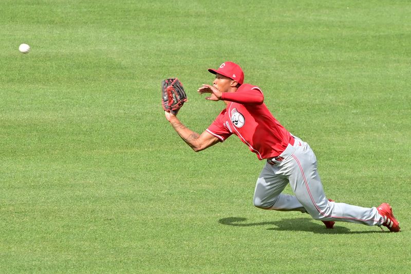 Feb 27, 2024; Mesa, Arizona, USA;  Cincinnati Reds right fielder Will Benson (30) catches a fly ball in the third inning against the Chicago Cubs during a spring training game at Sloan Park. Mandatory Credit: Matt Kartozian-USA TODAY Sports