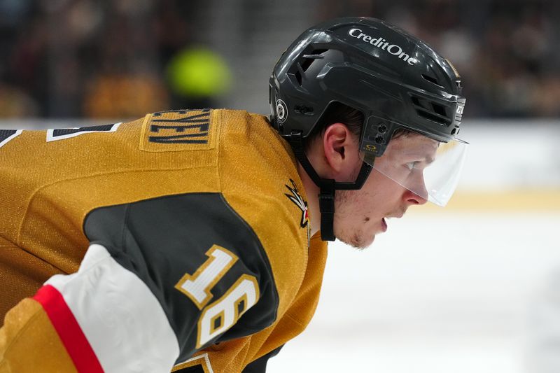 Jan 30, 2025; Las Vegas, Nevada, USA; Vegas Golden Knights left wing Pavel Dorofeyev (16) awaits a face off against the Columbus Blue Jackets during the second period at T-Mobile Arena. Mandatory Credit: Stephen R. Sylvanie-Imagn Images