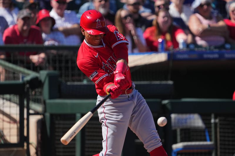 Mar 4, 2024; Surprise, Arizona, USA; Los Angeles Angels Ehire Adrianza (13) bats against the Texas Rangers during the third inning at Surprise Stadium. Mandatory Credit: Joe Camporeale-USA TODAY Sports