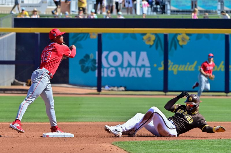 Mar 1, 2024; Peoria, Arizona, USA; Los Angeles Angels second baseman Kyren Paris (19) turns a double play on San Diego Padres right fielder Fernando Tatis Jr. (23) in the first inning during a spring training game at Peoria Sports Complex. Mandatory Credit: Matt Kartozian-USA TODAY Sports