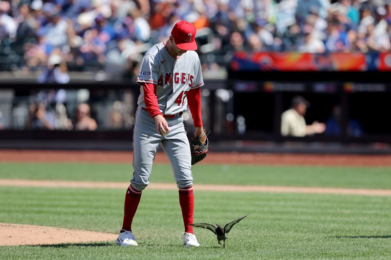 Aug 27, 2023; New York City, New York, USA; Los Angeles Angels starting pitcher Griffin Canning (47) attempts to relocate a pigeon near the pitching mound during the seventh inning against the New York Mets at Citi Field. Mandatory Credit: Brad Penner-USA TODAY Sports