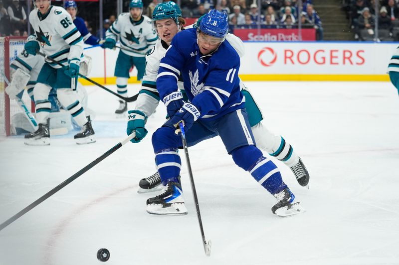 Dec 11, 2025; Toronto, Ontario, CAN; Toronto Maple Leafs forward Max Domi (11) and San Jose Sharks forward Macklin Celebrini (71) battle for a loose puck during the first period at Scotiabank Arena. Mandatory Credit: John E. Sokolowski-Imagn Images