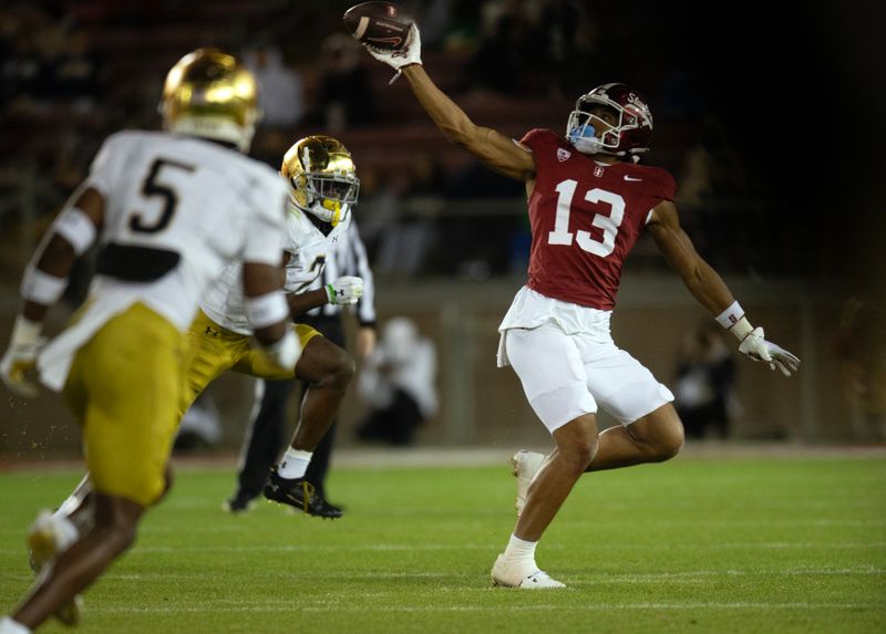 Nov 25, 2023; Stanford, California, USA; Stanford Cardinal wide receiver Elic Ayomanor (13) cannot quite hold a pass from quarterback Justin Lamson as he gets ahead of Notre Dame Fighting Irish safety DJ Brown (2) during the third quarter at Stanford Stadium. Mandatory Credit: D. Ross Cameron-USA TODAY Sports