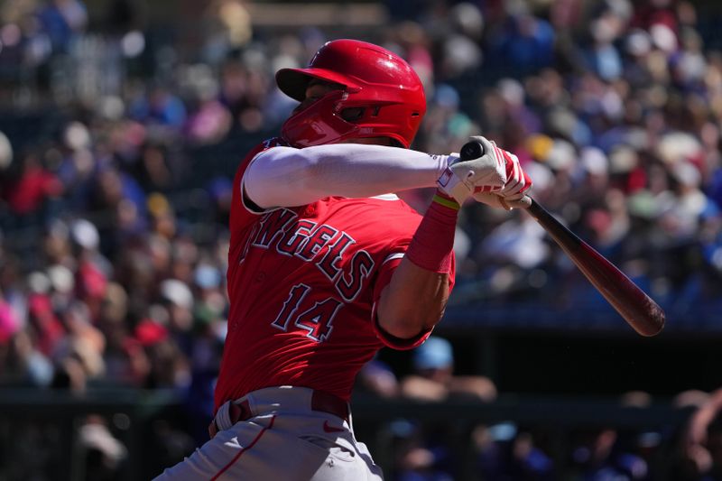 Mar 4, 2024; Surprise, Arizona, USA; Los Angeles Angels catcher Logan O’Hoppe (14) bats against the Texas Rangers during the first inning at Surprise Stadium. Mandatory Credit: Joe Camporeale-USA TODAY Sports