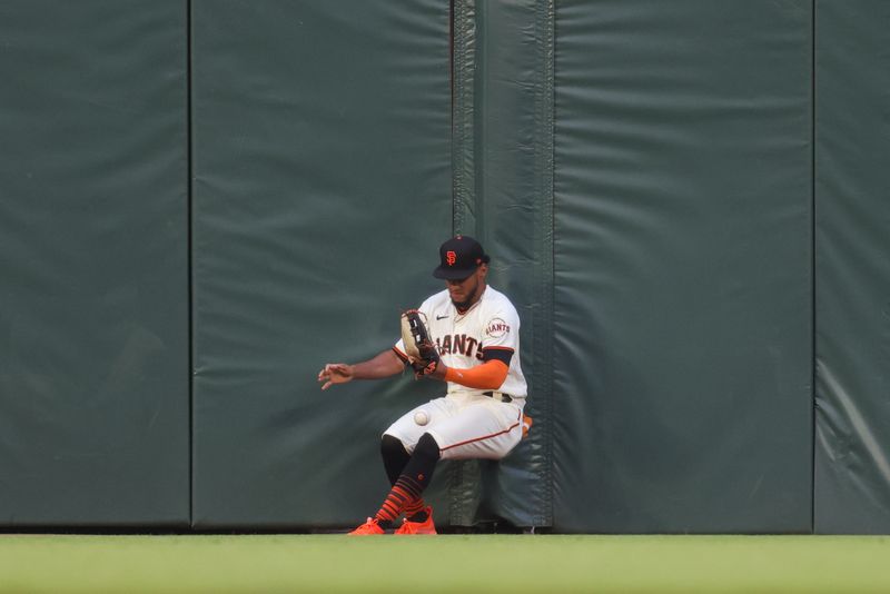 Jul 5, 2023; San Francisco, California, USA; San Francisco Giants outfielder Luis Matos (29) attempts to catch the ball during the sixth inning against the Seattle Mariners at Oracle Park. Mandatory Credit: Sergio Estrada-USA TODAY Sports