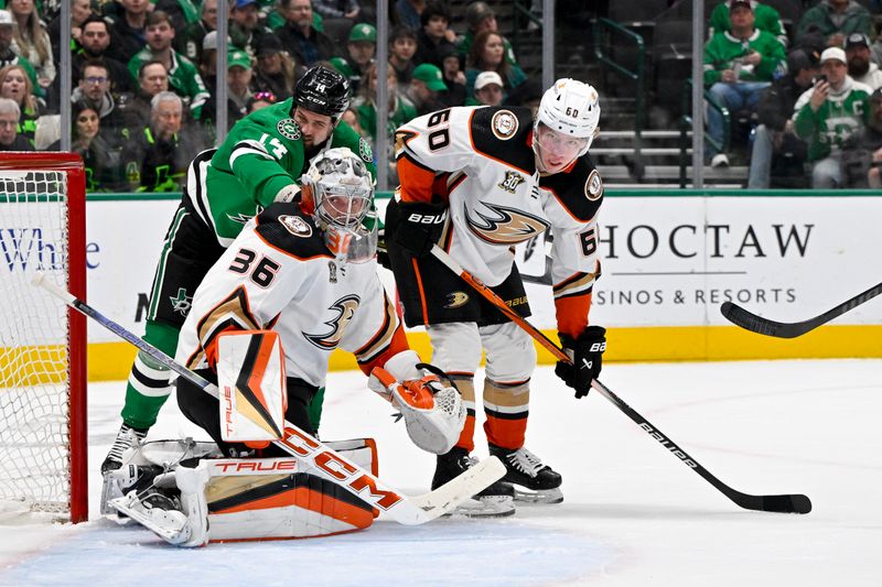 Jan 25, 2024; Dallas, Texas, USA; Dallas Stars left wing Jamie Benn (14) and Anaheim Ducks goaltender John Gibson (36) and defenseman Jackson LaCombe (60) look for the puck in the Ducks zone during the second period at the American Airlines Center. Mandatory Credit: Jerome Miron-USA TODAY Sports