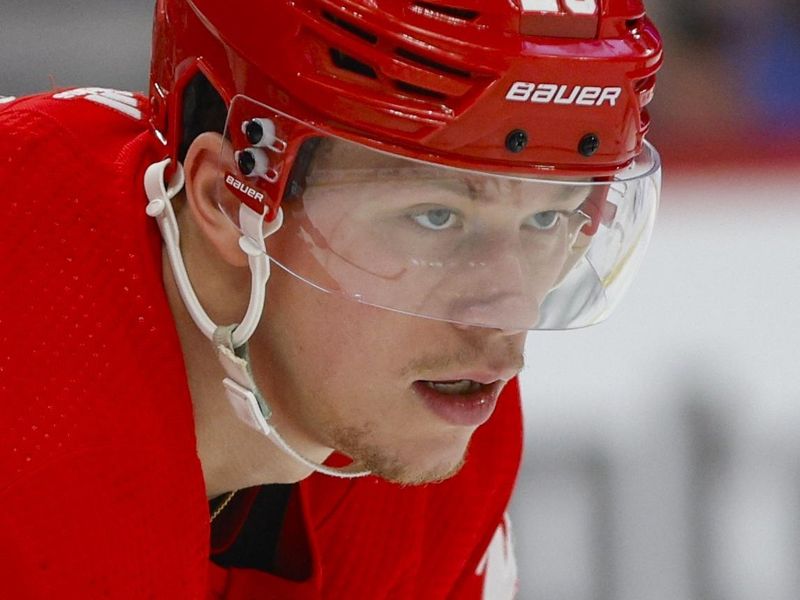 Dec 29, 2023; Detroit, Michigan, USA; Detroit Red Wings left wing Lucas Raymond (23) looks on during the first of the game between the Nashville Predators and the Detroit Red Wings at Little Caesars Arena. Mandatory Credit: Brian Bradshaw Sevald-USA TODAY Sports