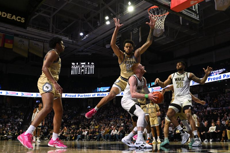 Feb 11, 2023; Winston-Salem, North Carolina, USA; Wake Forest Demon Deacons guard Cameron Hildreth (2) controls the ball against Georgia Tech Yellow Jackets center Rodney Howard (24) under the basket during the first half at Lawrence Joel Veterans Memorial Coliseum. Mandatory Credit: William Howard-USA TODAY Sports