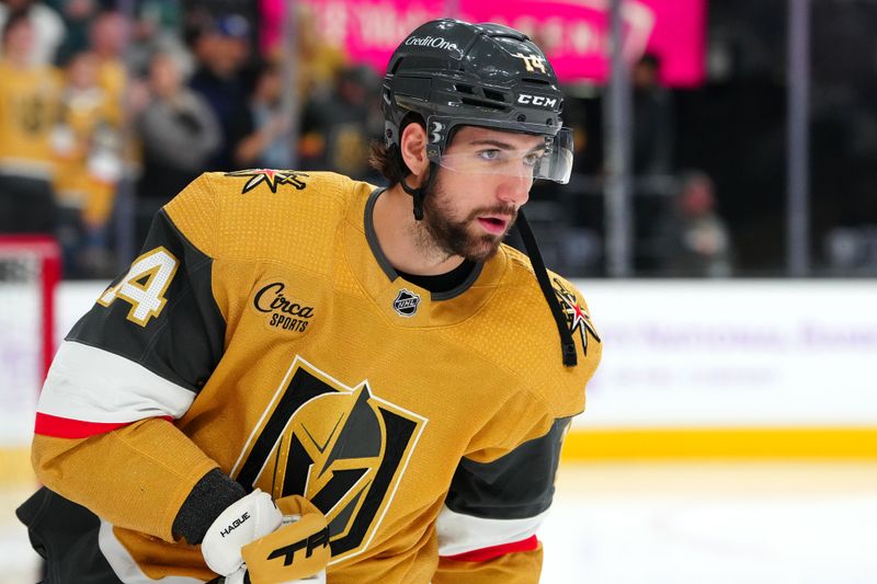 Nov 25, 2023; Las Vegas, Nevada, USA; Vegas Golden Knights defenseman Nicolas Hague (14) warms up before a game against the Arizona Coyotes at T-Mobile Arena. Mandatory Credit: Stephen R. Sylvanie-USA TODAY Sports