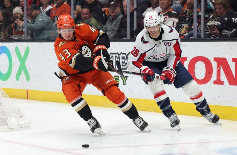 Mar 11, 2025; Anaheim, California, USA; Anaheim Ducks defenseman Drew Helleson (43) and Washington Capitals center Nic Dowd (26) fight for the puck during the first period at Honda Center. Mandatory Credit: Jason Parkhurst-Imagn Images