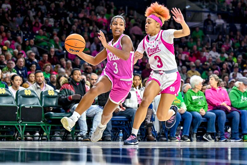 Feb 4, 2024; South Bend, Indiana, USA; Pittsburgh Panthers guard Jasmine Timmerson (3) dribbles as Notre Dame Fighting Irish guard Hannah Hidalgo (3) defends in the first half at the Purcell Pavilion. Mandatory Credit: Matt Cashore-USA TODAY Sports