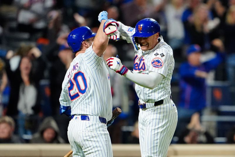 Sep 22, 2024; New York City, New York, USA; New York Mets first baseman Pete Alonso (20) arm bumps New York Mets left fielder Brandon Nimmo (9) for hitting a home run against the Philadelphia Phillies  during the sixth inning at Citi Field. Mandatory Credit: Gregory Fisher-Imagn Images