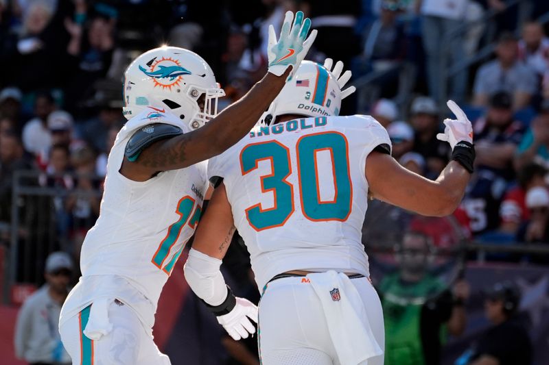 Miami Dolphins fullback Alec Ingold (30) celebrates after his touchdown during the second half of an NFL football game against the New England Patriots, Sunday, Oct. 6, 2024, in Foxborough, Mass. (AP Photo/Michael Dwyer)