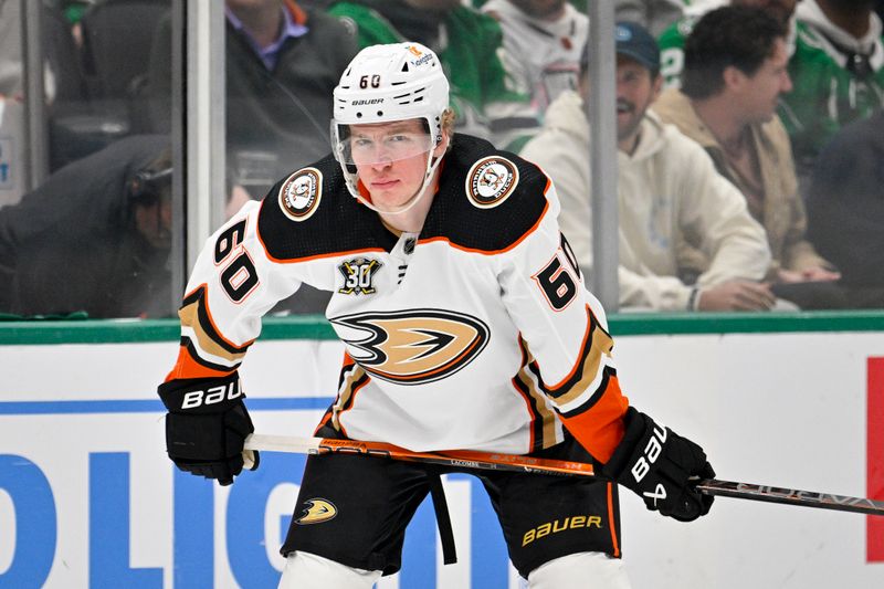 Jan 25, 2024; Dallas, Texas, USA; Anaheim Ducks defenseman Jackson LaCombe (60) waits for the face-off against the Dallas Stars during the first period at the American Airlines Center. Mandatory Credit: Jerome Miron-USA TODAY Sports