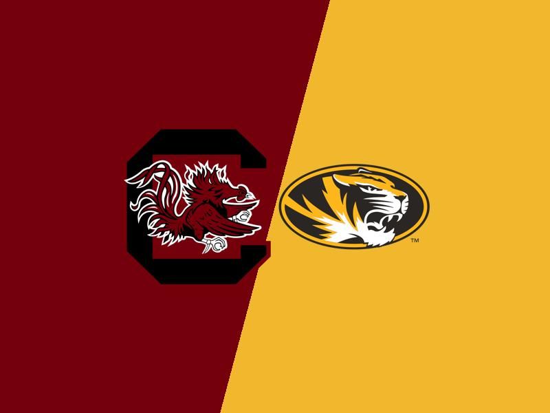 South Carolina Gamecocks' Josh Gray Shines as They Face Missouri Tigers in Upcoming Game