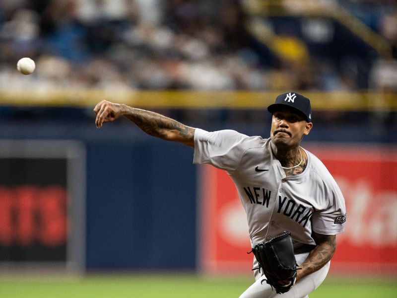 May 11, 2024; St. Petersburg, Florida, USA; New York Yankees pitcher Dennis Santana (53) throws the ball against the Tampa Bay Rays during the seventh inning at Tropicana Field. Mandatory Credit: Matt Pendleton-USA TODAY Sports