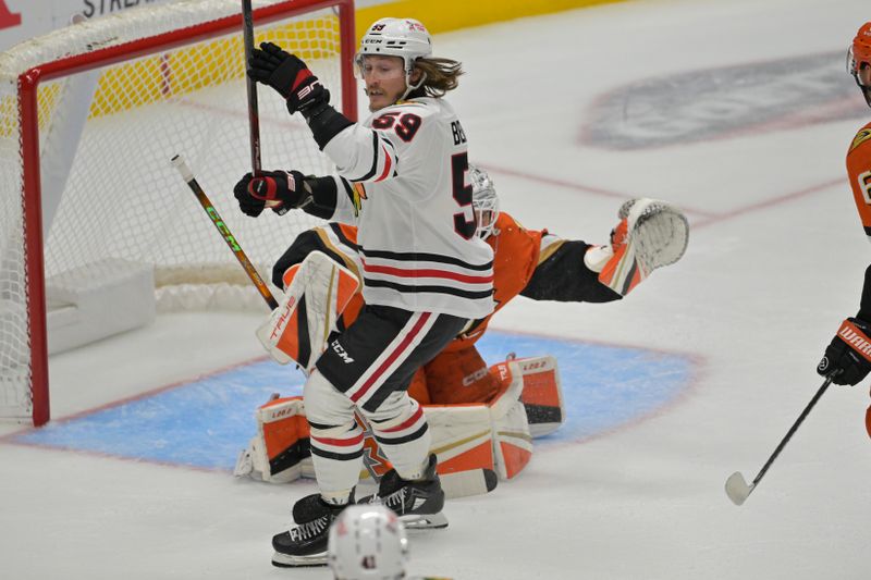 Nov 3, 2024; Anaheim, California, USA;  Chicago Blackhawks left wing Tyler Bertuzzi (59) reacts after the puck got by Anaheim Ducks goaltender Lukas Dostal (1) for a goal in the first period at Honda Center. Mandatory Credit: Jayne Kamin-Oncea-Imagn Images