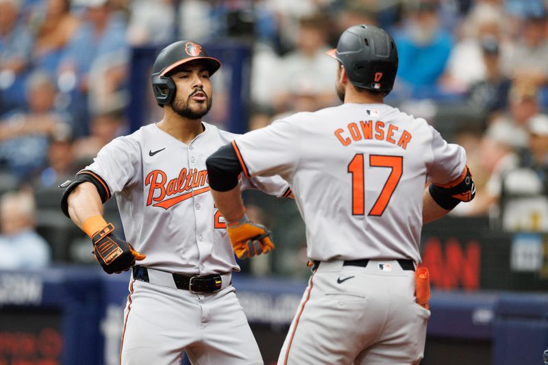 Jun 9, 2024; St. Petersburg, Florida, USA;  Baltimore Orioles outfielder Anthony Santander (25) celebrates with outfielder Colton Cowser (17) after hitting a home run against the Tampa Bay Rays in the fourth inning at Tropicana Field. Mandatory Credit: Nathan Ray Seebeck-USA TODAY Sports