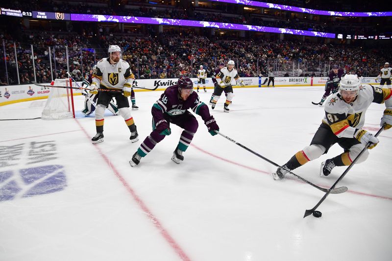 Dec 27, 2023; Anaheim, California, USA; Anaheim Ducks defenseman Ilya Lyubushkin (46) plays for the puck against Vegas Golden Knights right wing Jonathan Marchessault (81) during the second period at Honda Center. Mandatory Credit: Gary A. Vasquez-USA TODAY Sports