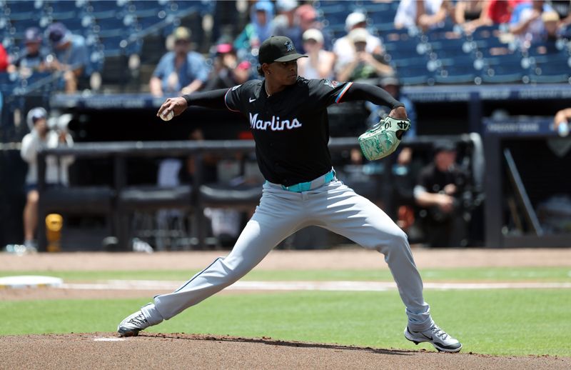 Jun 6, 2025; St. Petersburg, Florida, USA;  Miami Marlins starting pitcher Edward Cabrera (27) throws a pitch against the Tampa Bay Rays during the first inning at George M. Steinbrenner Field. Mandatory Credit: Kim Klement Neitzel-Imagn Images