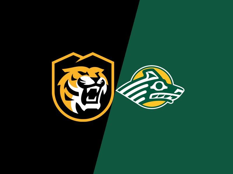 Colorado College Tigers' Top Scorer to Face Alaska Anchorage Seawolves in a Must-See Matchup