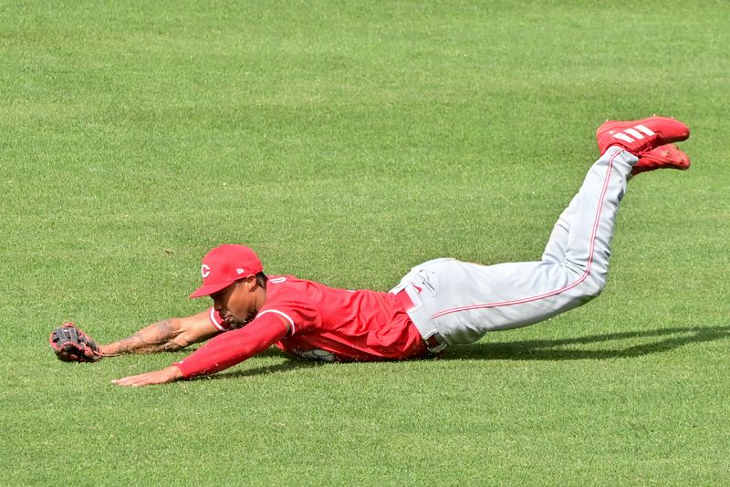 Feb 27, 2024; Mesa, Arizona, USA;  Cincinnati Reds right fielder Will Benson (30) catches a fly ball in the third inning against the Chicago Cubs during a spring training game at Sloan Park. Mandatory Credit: Matt Kartozian-USA TODAY Sports