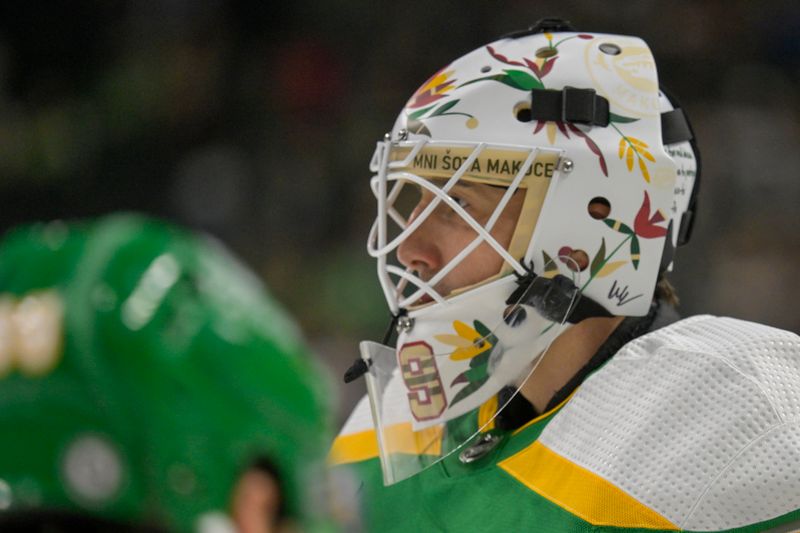 Nov 24, 2023; Saint Paul, Minnesota, USA; Minnesota Wild goalie Marc-Andre Fleury (29) wears his Native American Heritage mask in warmups before a game against the Colorado Avalanche at Xcel Energy Center. Mandatory Credit: Nick Wosika-USA TODAY Sports