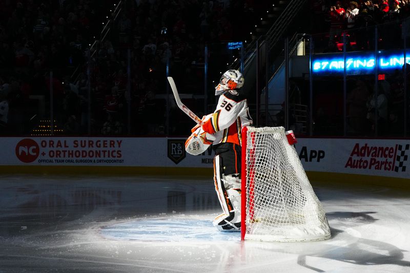 Jan 11, 2024; Raleigh, North Carolina, USA; Anaheim Ducks goaltender John Gibson (36) looks on before the game against the Carolina Hurricanes at PNC Arena. Mandatory Credit: James Guillory-USA TODAY Sports