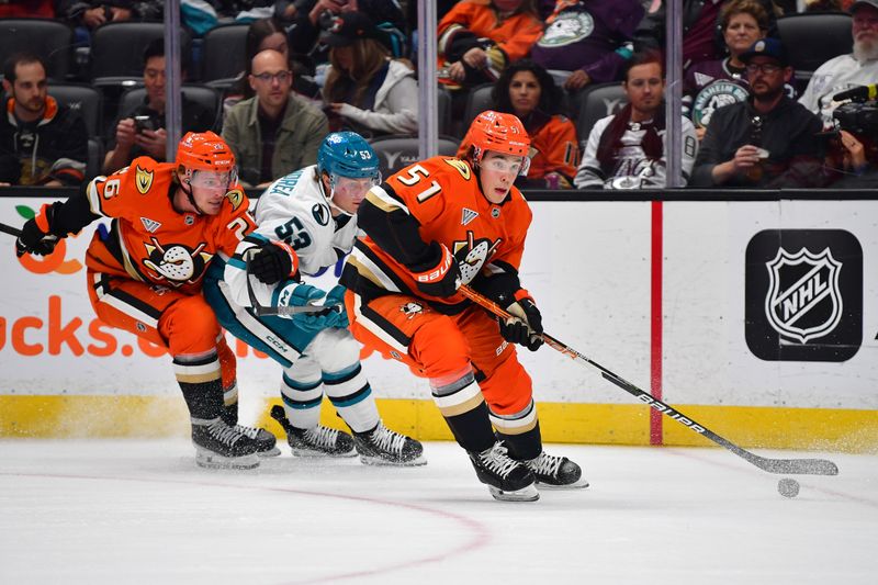 Oct 22, 2024; Anaheim, California, USA; Anaheim Ducks defenseman Olen Zellweger (51) moves the puck against San Jose Sharks center Ty Dellandrea (53)  during the first period at Honda Center. Mandatory Credit: Gary A. Vasquez-Imagn Images