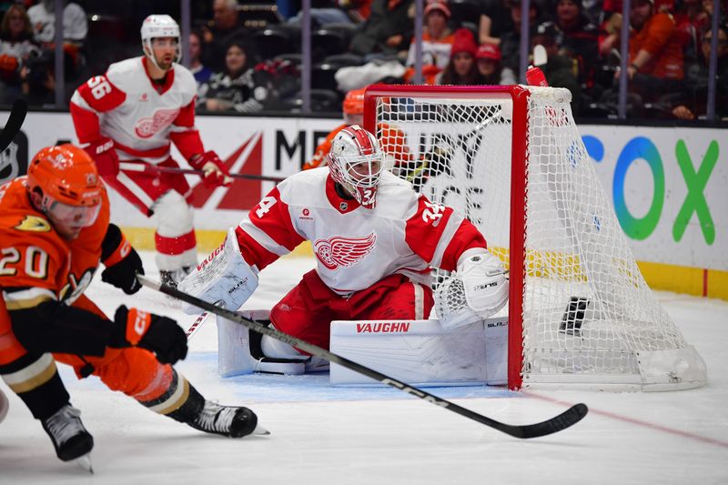 Nov 15, 2024; Anaheim, California, USA; Detroit Red Wings goaltender Alex Lyon (34) defends the goal against the Anaheim Ducks during the second period at Honda Center. Mandatory Credit: Gary A. Vasquez-Imagn Images